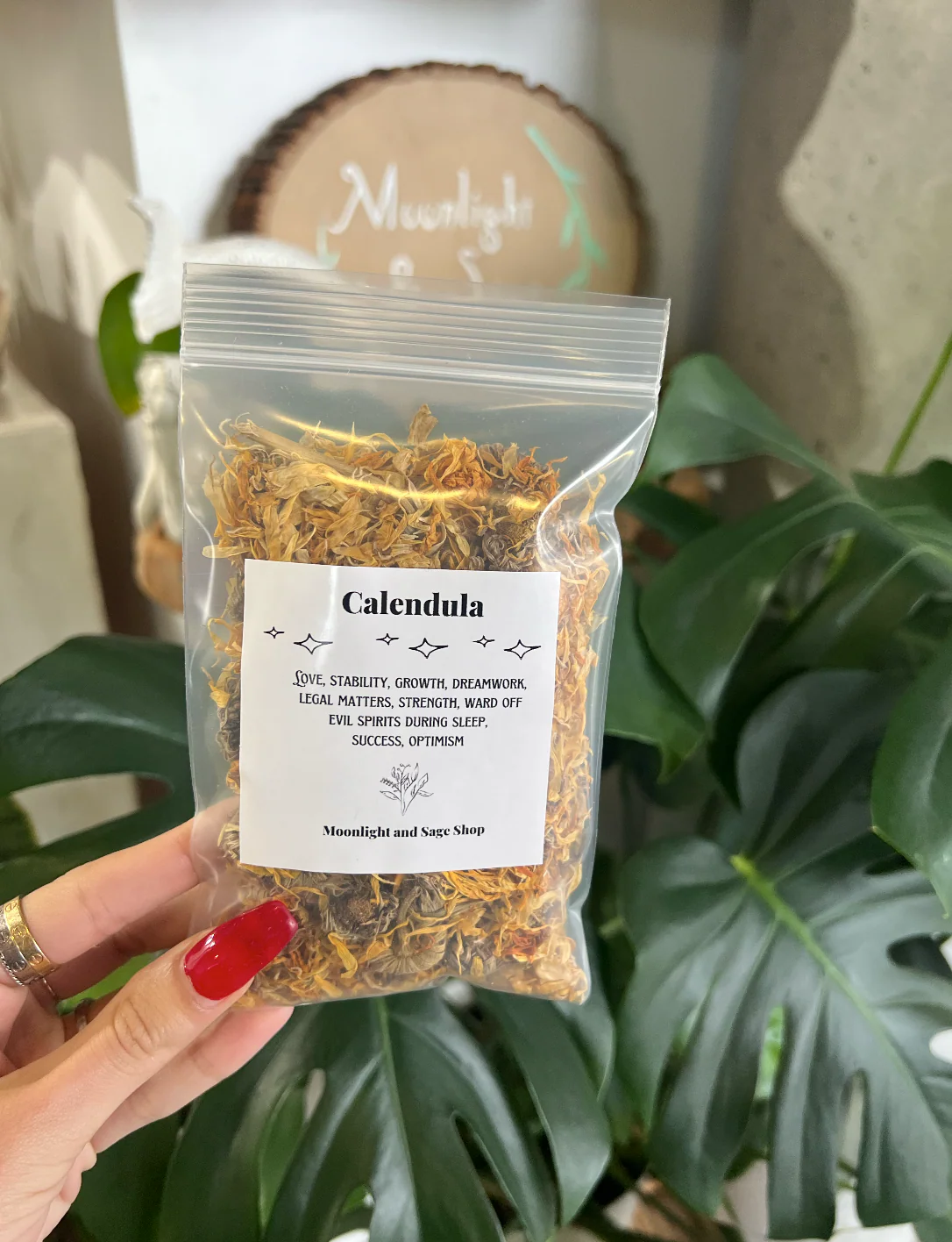 Calendula Flower Herb - Image 3