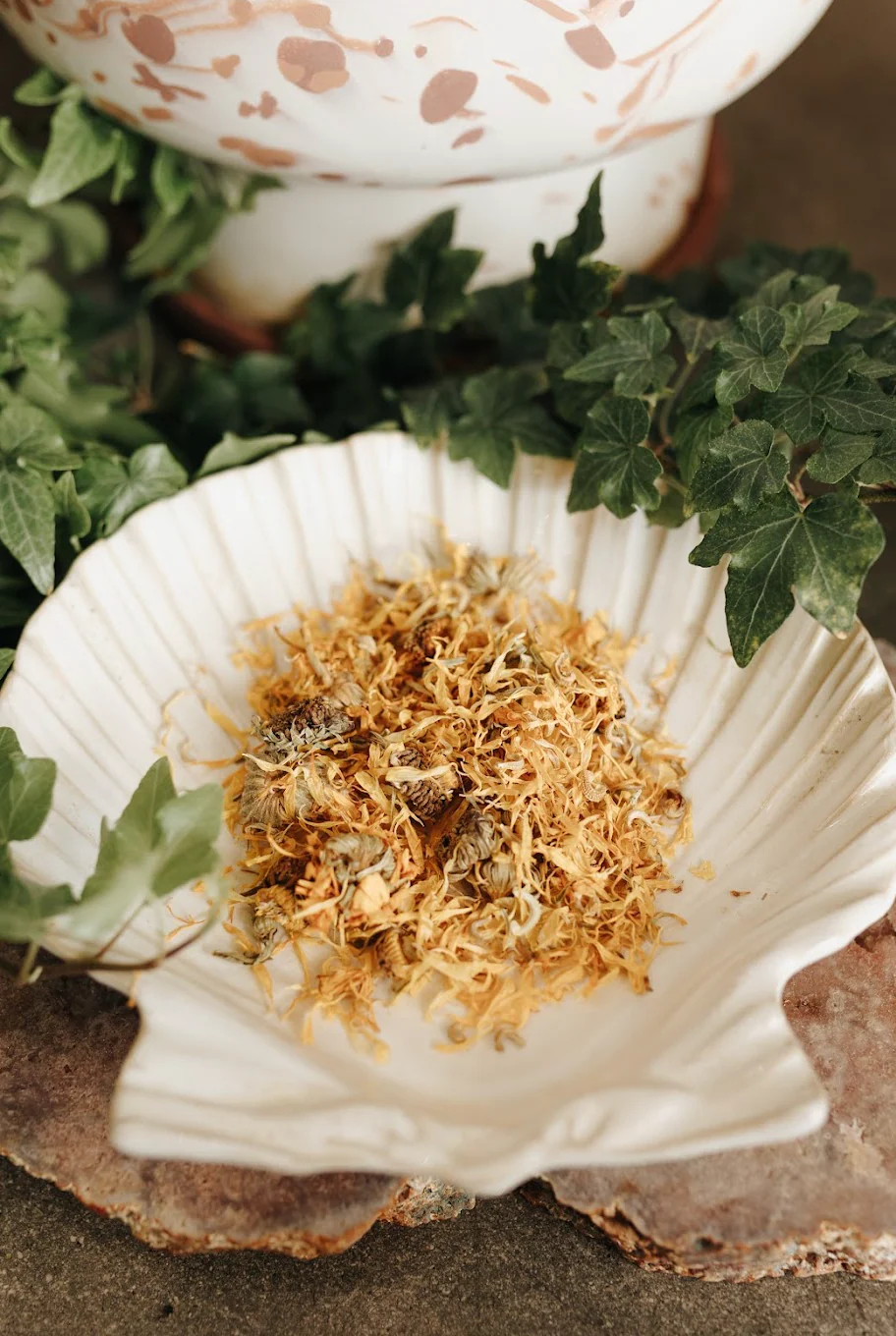 Calendula Flower Herb - Image 5