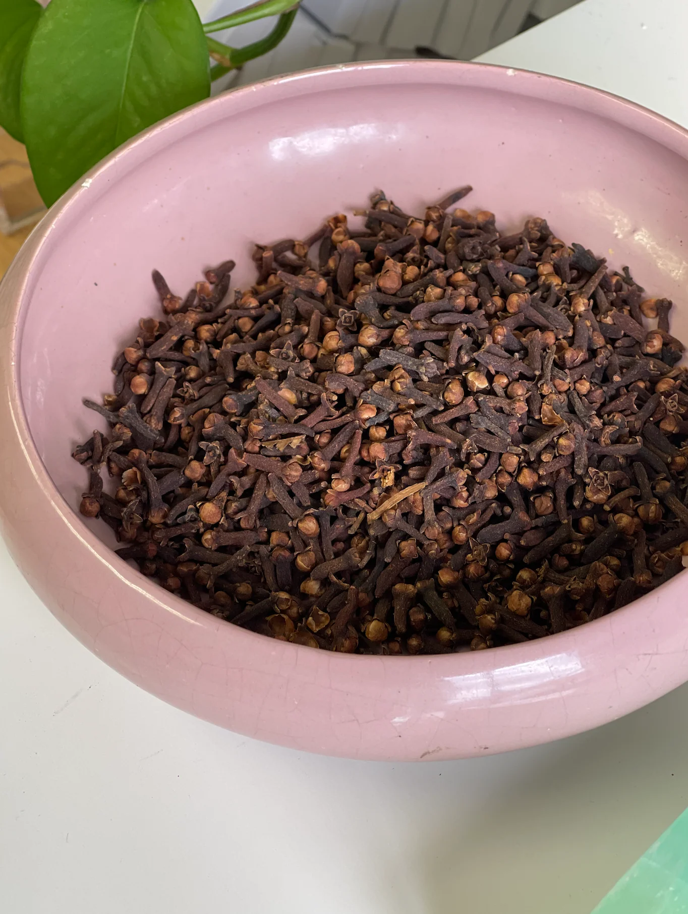 Clove Herb (Protection, Love, Money, Prosperity, Cleansing, Banish Evil Eye) - Image 5