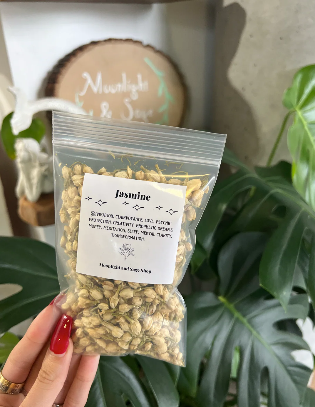 Jasmine Flower Herb - Image 3