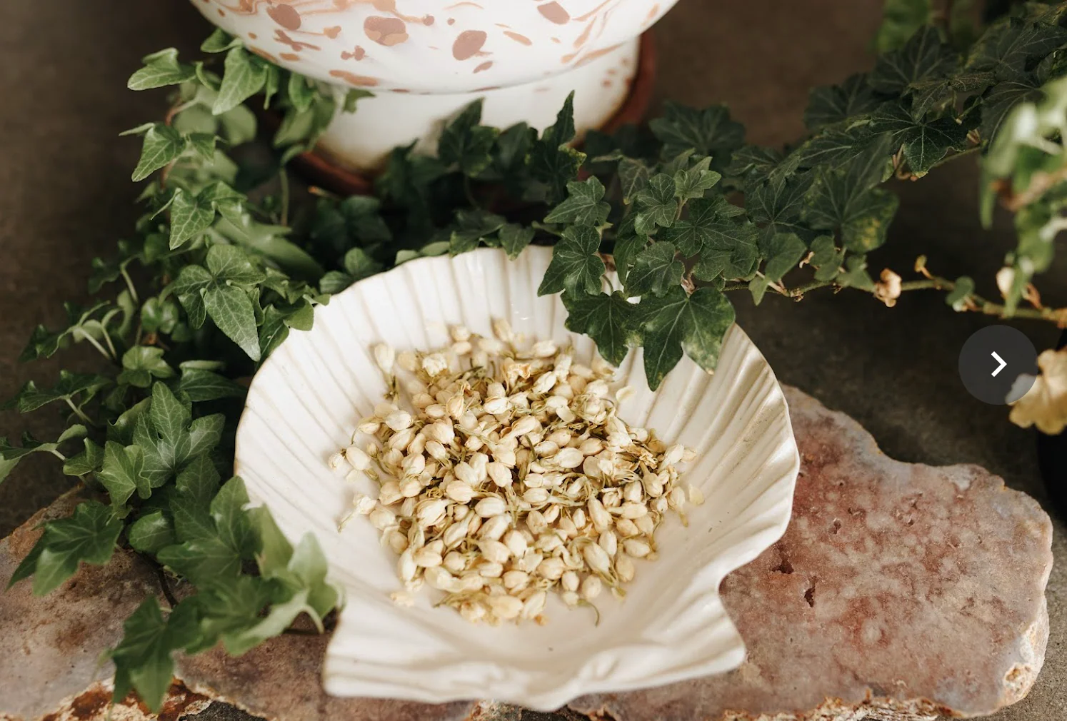 Jasmine Flower Herb - Image 5